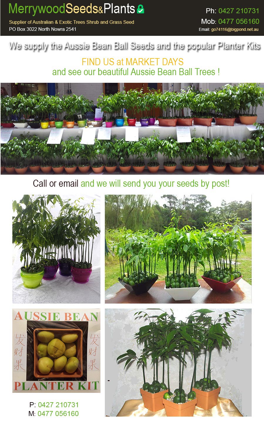 Merrywood Seeds and Plants 